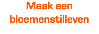 Maak een bloemenstilleven